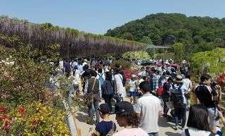 b180430hana05.jpg