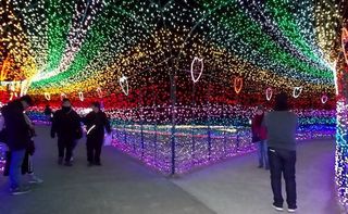 b190430_doi03.jpg